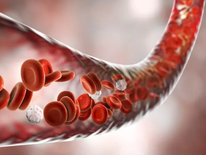 Eritrosit (RBC) Nedir?