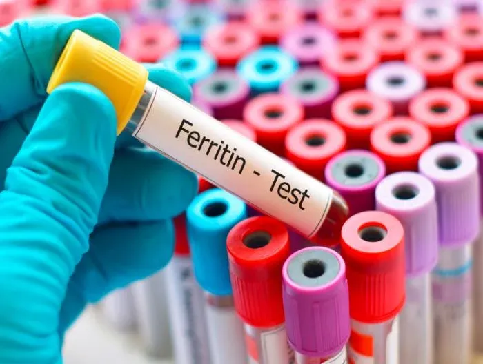 Ferritin Testi Kapak Resmi