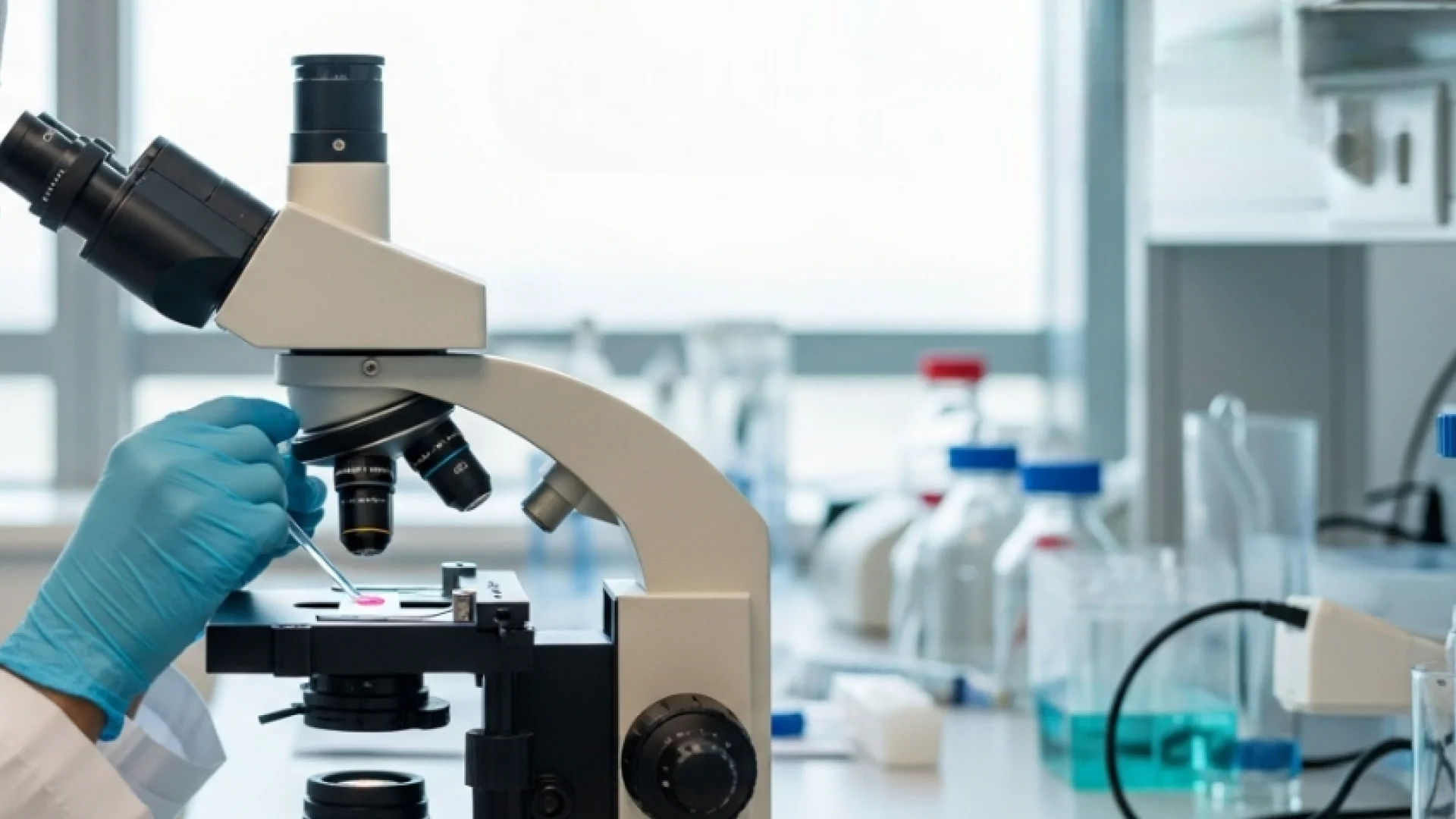 Burun Akıntısı Kültürü Kapak Resmi